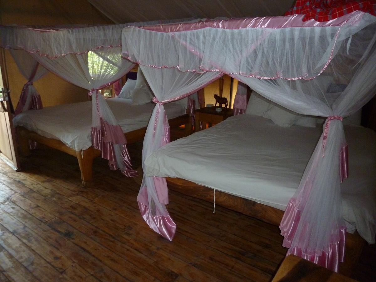 Roika Tarangire Tented Lodge Kwa Kuchinia 外观 照片
